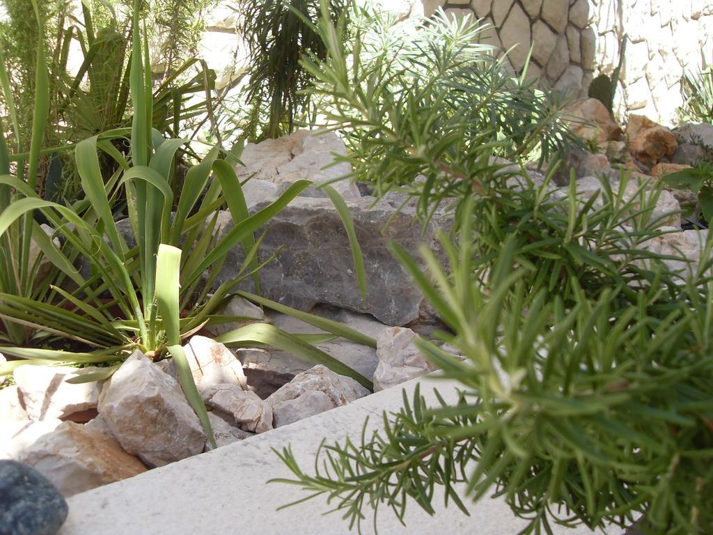 נובי ווינודולסקי Apartments Ilona מראה חיצוני תמונה