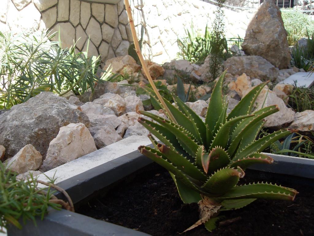 נובי ווינודולסקי Apartments Ilona מראה חיצוני תמונה