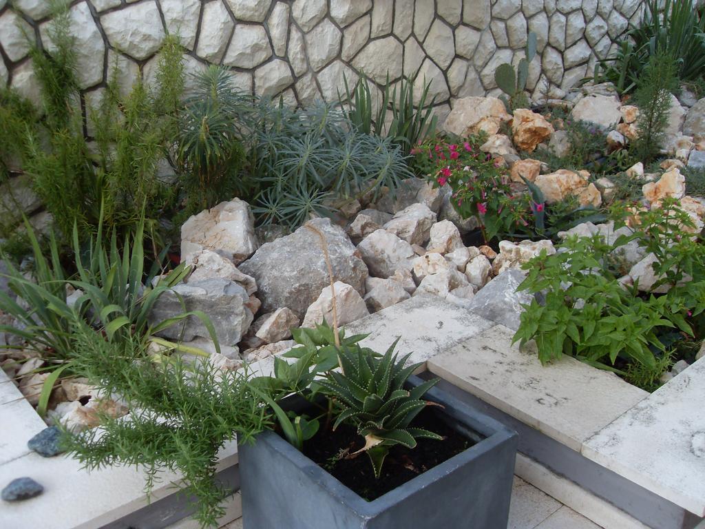 נובי ווינודולסקי Apartments Ilona מראה חיצוני תמונה