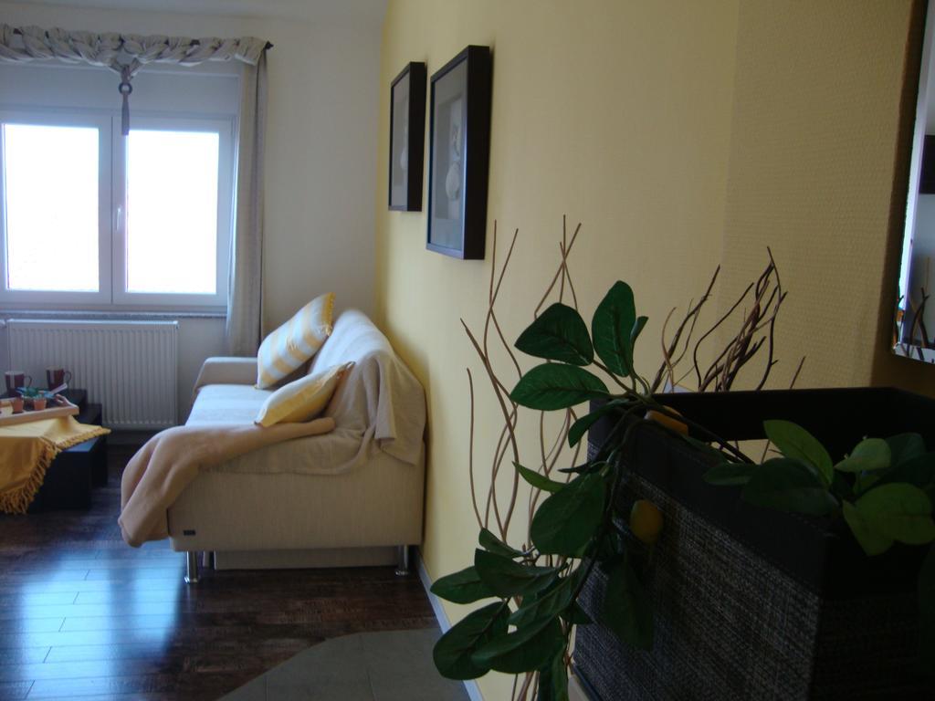 נובי ווינודולסקי Apartments Ilona מראה חיצוני תמונה